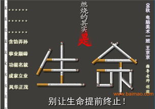 瀏陽市平面設計與軟件開發 融合創意與科技，打造品牌新動力